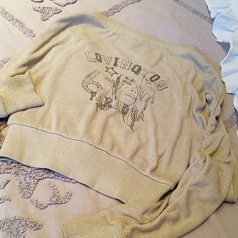 Cropped Zipped Sweater Size 6